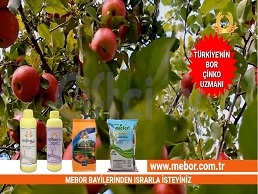 Bor-Çinko Uzmanı Mebor