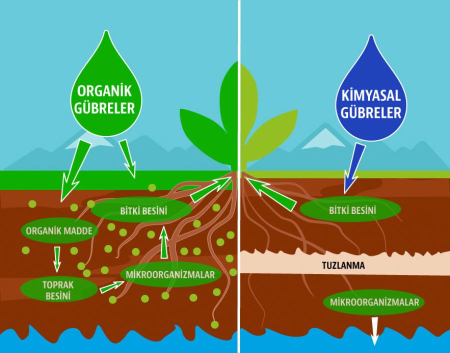 Organik Gübre ve Kimyasal Gübre